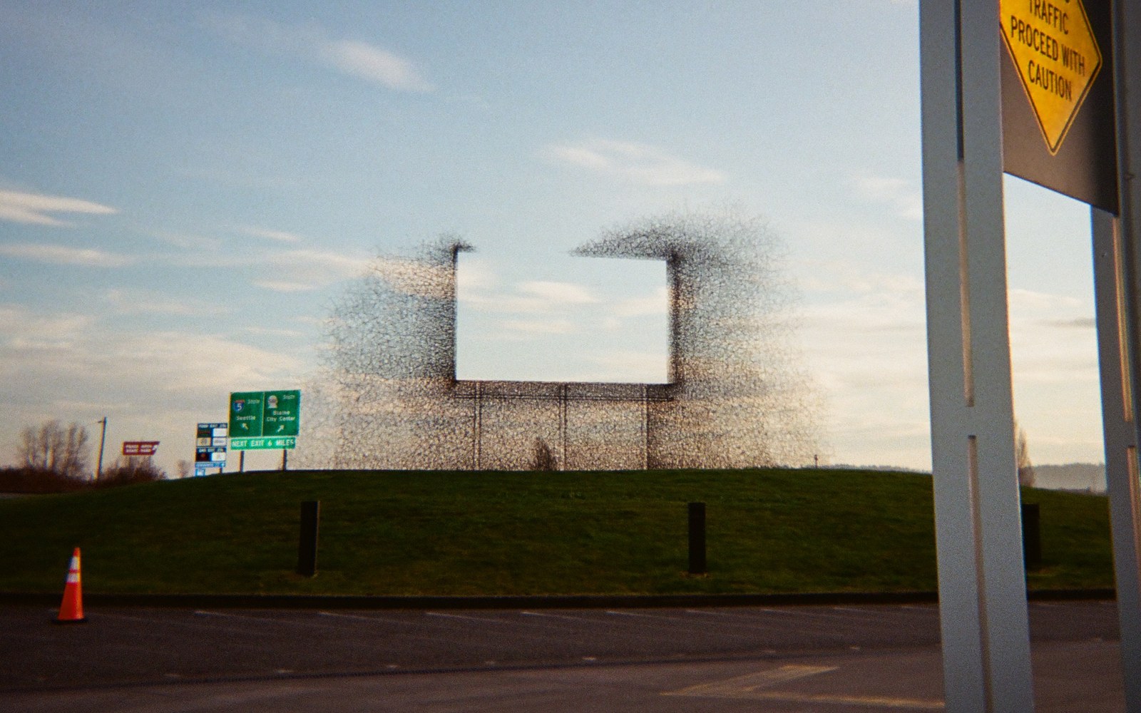 Starlings swarming a blank billboard beside the I-5